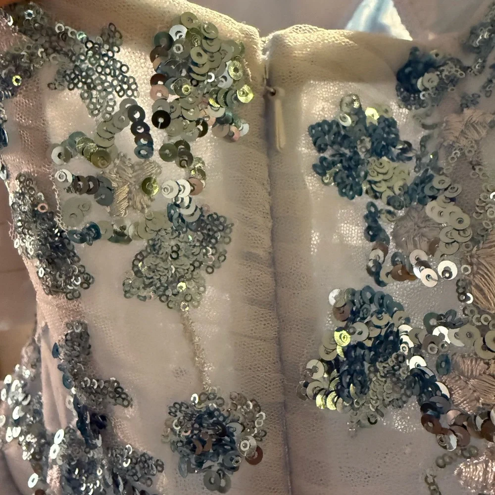 Pageant / Prom Gown by Rachel Allan size 6 - Picture 8 of 13